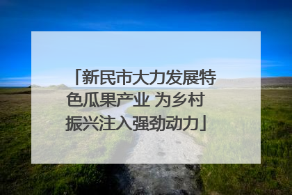 新民市大力发展特色瓜果产业 为乡村振兴注入强劲动力
