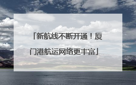 新航线不断开通！厦门港航运网络更丰富
