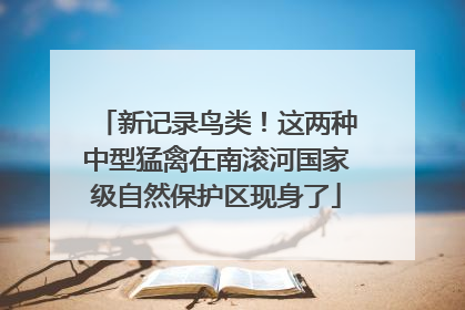 新记录鸟类！这两种中型猛禽在南滚河国家级自然保护区现身了