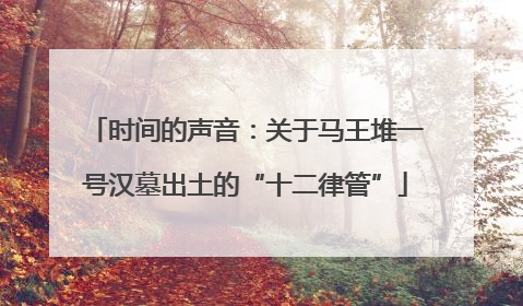 时间的声音：关于马王堆一号汉墓出土的“十二律管”