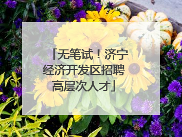 无笔试！济宁经济开发区招聘高层次人才