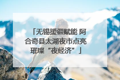 无锡援疆赋能 阿合奇县太湖夜市点亮璀璨“夜经济”