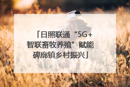 日照联通“5G+智联畜牧养殖”赋能碑廓镇乡村振兴