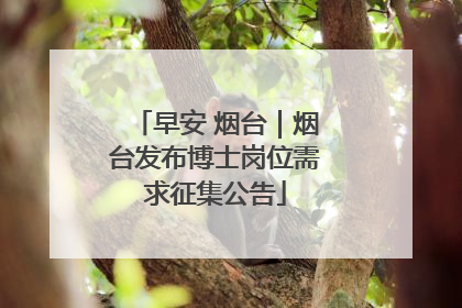 早安 烟台｜烟台发布博士岗位需求征集公告
