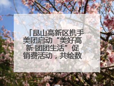 昆山高新区携手美团启动“美好高新·团团生活”促销费活动，共绘数字消费新图景