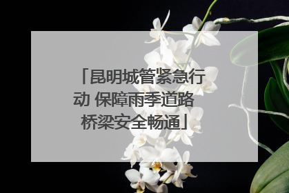 昆明城管紧急行动 保障雨季道路桥梁安全畅通