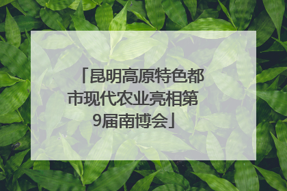 昆明高原特色都市现代农业亮相第9届南博会