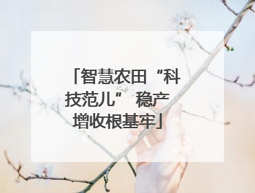 智慧农田“科技范儿” 稳产增收根基牢