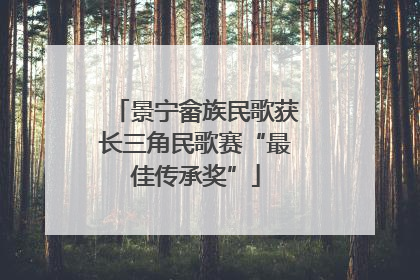景宁畲族民歌获长三角民歌赛“最佳传承奖”