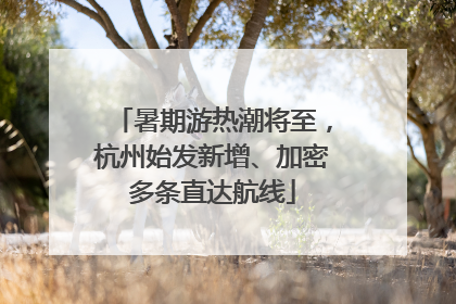 暑期游热潮将至，杭州始发新增、加密多条直达航线