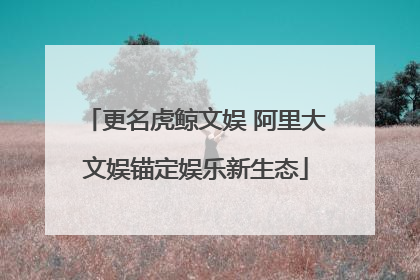 更名虎鲸文娱 阿里大文娱锚定娱乐新生态