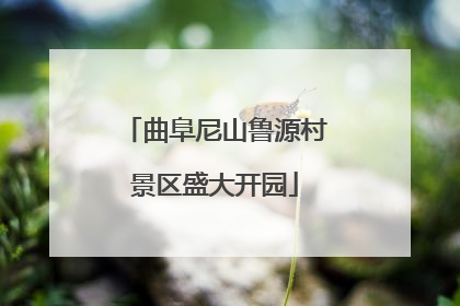 曲阜尼山鲁源村景区盛大开园