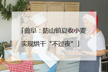 曲阜：防山镇夏收小麦实现烘干“不过夜”