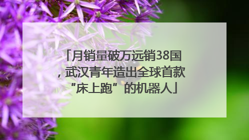 月销量破万远销38国，武汉青年造出全球首款“床上跑”的机器人