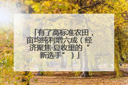 有了高标准农田，亩均纯利增六成（经济聚焦·夏收里的“新选手”）