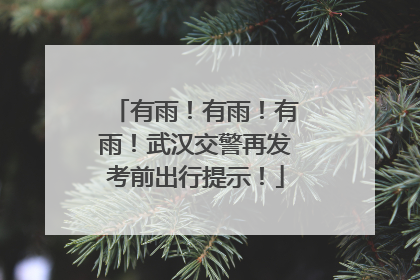 有雨！有雨！有雨！武汉交警再发考前出行提示！