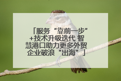 服务“靠前一步”+技术升级迭代 智慧港口助力更多外贸企业破浪“出海”