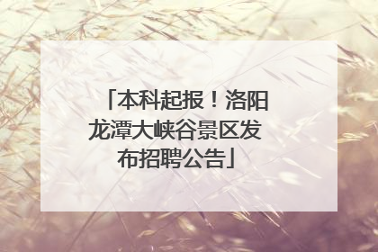 本科起报！洛阳龙潭大峡谷景区发布招聘公告