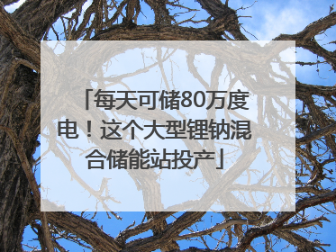 每天可储80万度电！这个大型锂钠混合储能站投产