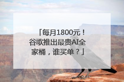 每月1800元！谷歌推出最贵AI全家桶，谁买单？