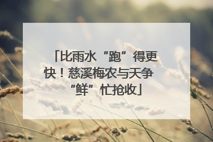 比雨水“跑”得更快！慈溪梅农与天争“鲜”忙抢收