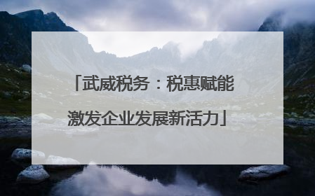 武威税务：税惠赋能 激发企业发展新活力