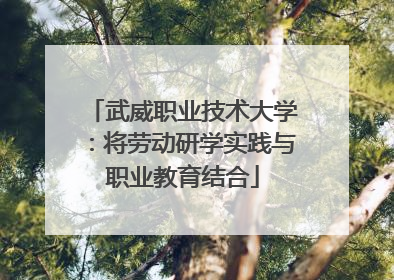 武威职业技术大学：将劳动研学实践与职业教育结合