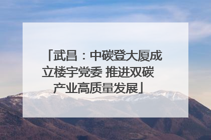 武昌：中碳登大厦成立楼宇党委 推进双碳产业高质量发展