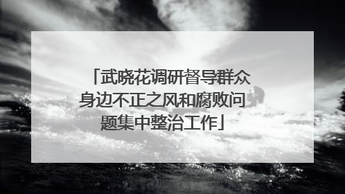 武晓花调研督导群众身边不正之风和腐败问题集中整治工作
