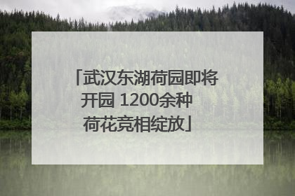 武汉东湖荷园即将开园 1200余种荷花竞相绽放