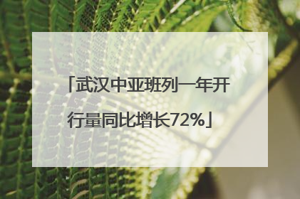武汉中亚班列一年开行量同比增长72%