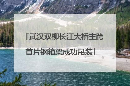武汉双柳长江大桥主跨首片钢箱梁成功吊装