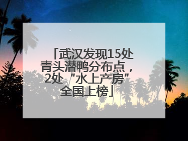 武汉发现15处青头潜鸭分布点，2处“水上产房”全国上榜