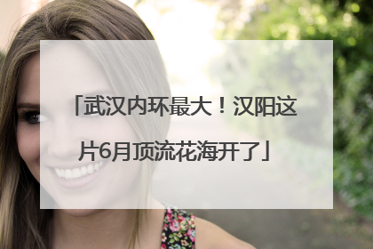武汉内环最大！汉阳这片6月顶流花海开了