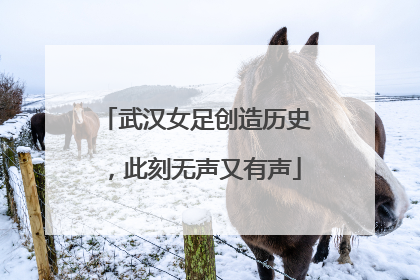 武汉女足创造历史，此刻无声又有声