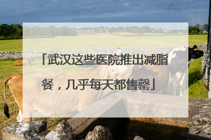 武汉这些医院推出减脂餐，几乎每天都售罄