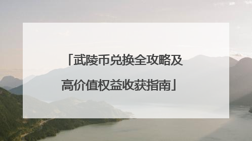 武陵币兑换全攻略及高价值权益收获指南