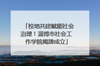 校地共建赋能社会治理！淄博市社会工作学院揭牌成立