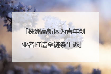 株洲高新区为青年创业者打造全链条生态
