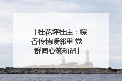 桂花坪桂庄：粽香传情暖邻里 党群同心筑和谐