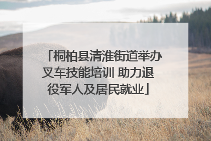 桐柏县清淮街道举办叉车技能培训 助力退役军人及居民就业