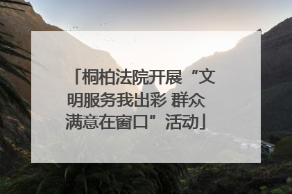 桐柏法院开展“文明服务我出彩 群众满意在窗口”活动