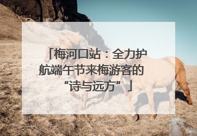 梅河口站：全力护航端午节来梅游客的“诗与远方”