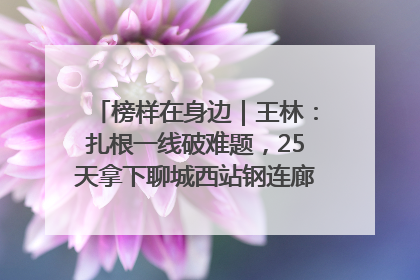 榜样在身边｜王林：扎根一线破难题，25天拿下聊城西站钢连廊“硬核”工程