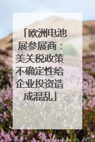 欧洲电池展参展商：美关税政策不确定性给企业投资造成混乱