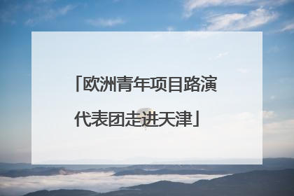 欧洲青年项目路演代表团走进天津