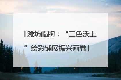 潍坊临朐：“三色沃土”绘彩铺展振兴画卷
