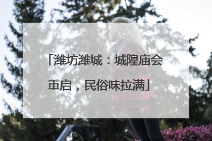 潍坊潍城：城隍庙会重启，民俗味拉满