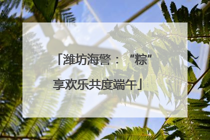 潍坊海警：“粽”享欢乐共度端午