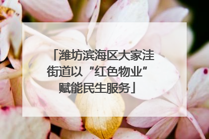 潍坊滨海区大家洼街道以“红色物业”赋能民生服务
